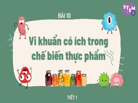 Bài giảng STEM Lớp 5 - Bài 10: Vi khuẩn có ích trong chế biến thực phẩm