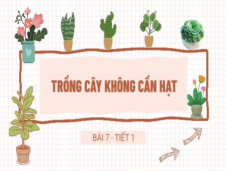 Bài giảng STEM Lớp 5 - Bài 7: Trồng cây không cần hạt
