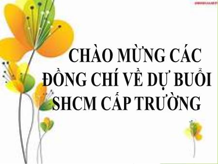 Chuyên đề Đánh giá học sinh theo thông tư 27- Ngô Thị Phượng