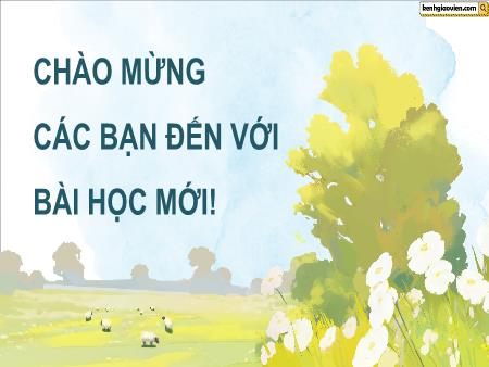Bài giảng Mĩ thuật 5 (Kết nối tri thức) - Chủ đề 5: Những việc làm cao quý mà bình dị trong cuộc sống - Trần Thị Trang